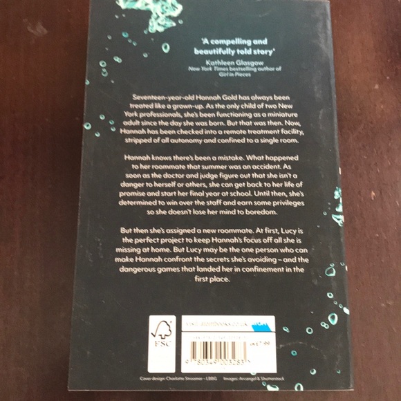 Book Bundle Girls 11-14 Aylessa Sheinmel - Picture 8 of 8